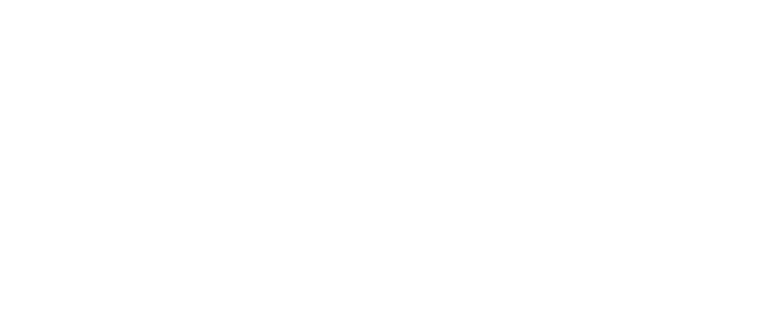 Volt Elite